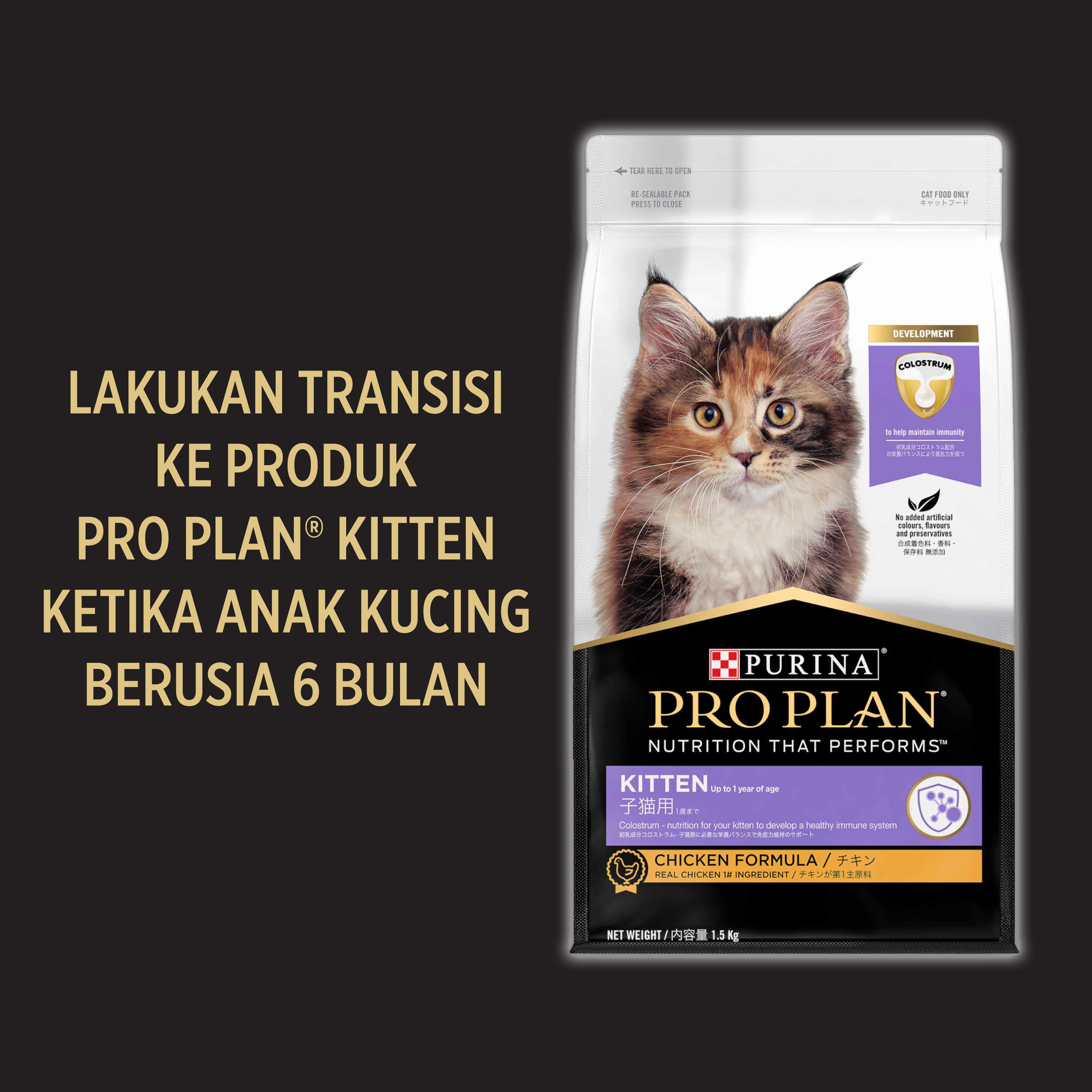 Pro plan hotsell kitten harga