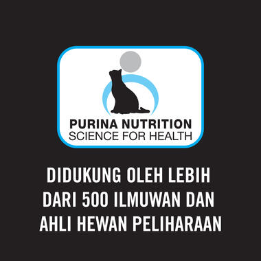 Proplan Kitten Starter Makanan Kering Anak Kucing Salmon & Tuna