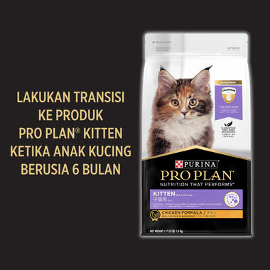 Proplan Kitten Starter Makanan Kering Anak Kucing Salmon & Tuna