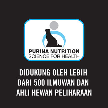 makanan kucing proplan kitten chicken formula