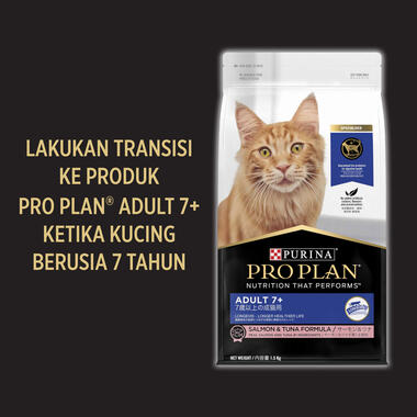 Proplan adult cat makanan kering kucing dewasa salmon