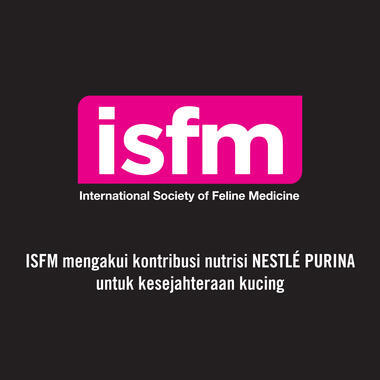 isfm